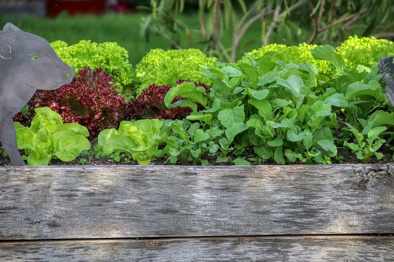 Building Raised Beds